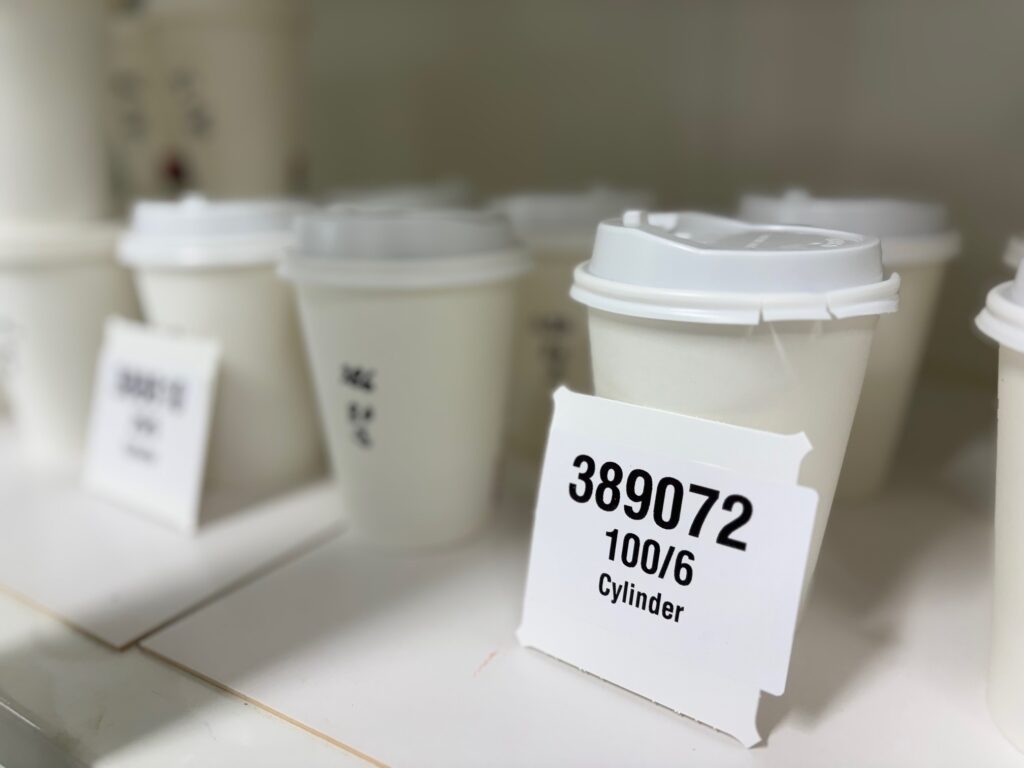 How we run substitution— from hypothesis to robust solution